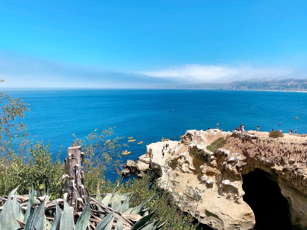 San Diego一日遊🦭